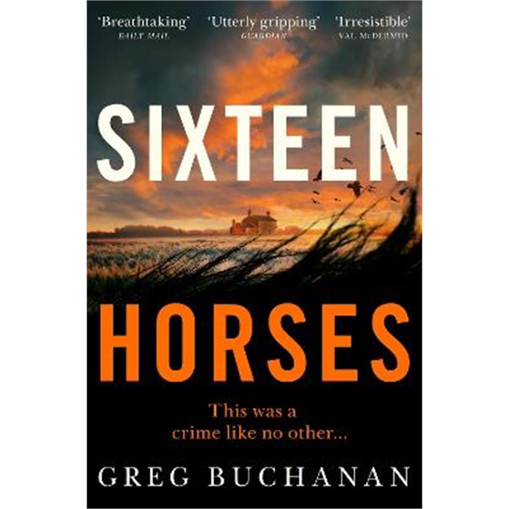 Sixteen Horses (Paperback) - Greg Buchanan